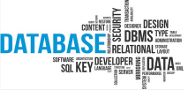 Database
